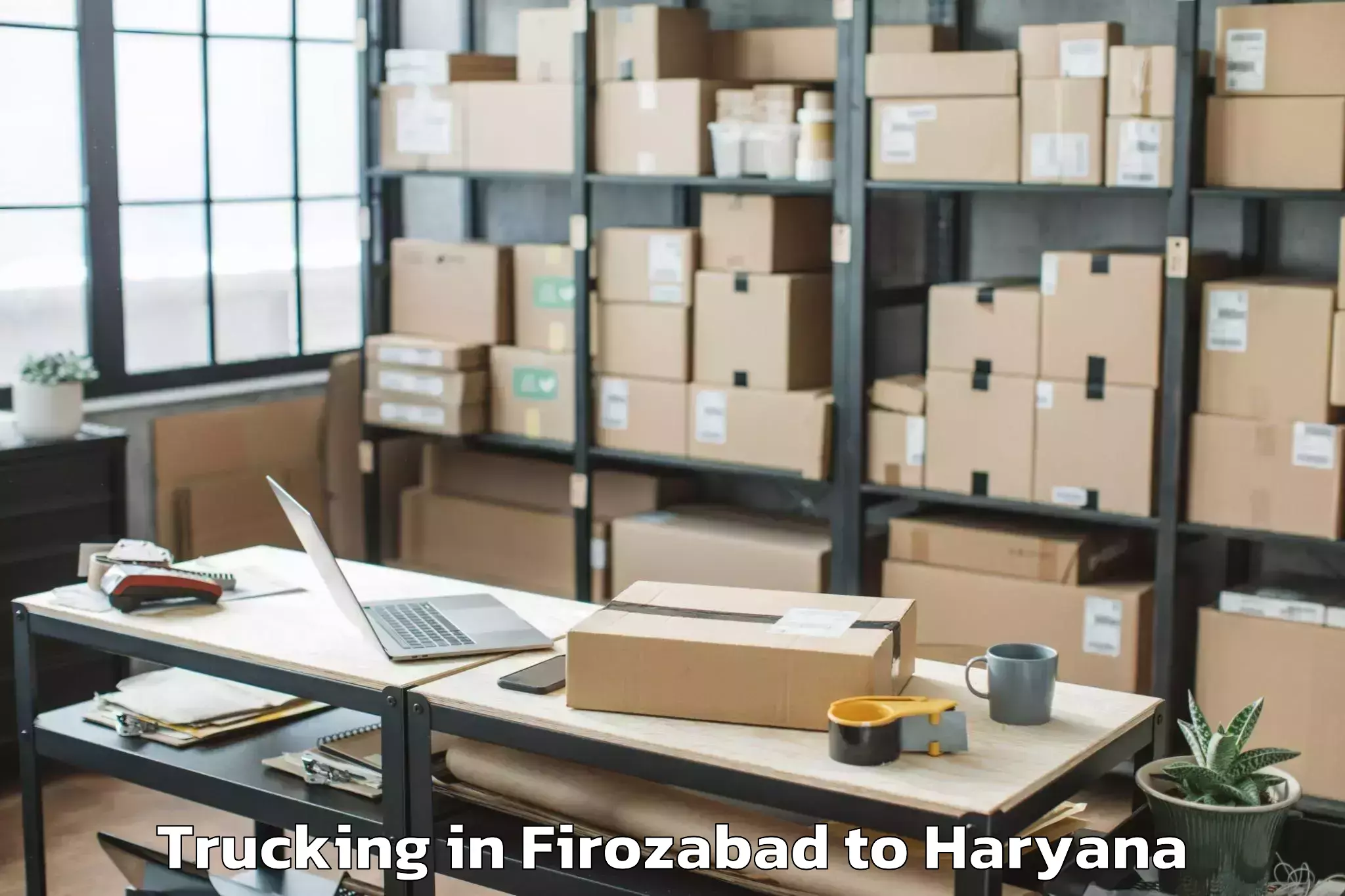 Top Firozabad to Panchkula Trucking Available